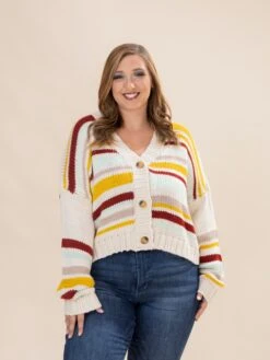 Multi Stripe Knit Sweater Cardigan | S-3XL