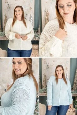 Crewneck Balloon Sleeve Textured Sweater | S/M - M/L Wishlist