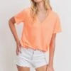 Short Sleeves V Neck Knit Top *Final Sale*