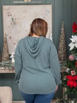 Drawstring Hood Solid Raised Rib Hoodie Top | S-3X -Discount Divas Shop a05a28dc95fe94859eeec1688539deec