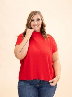 Zenana Viscose Mock Neck Short Sleeve Boxy Sweater | S-L -Discount Divas Shop a995e216e9adf0723572e29f781486df