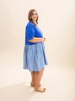 French Terry Twofer Baby Doll Dress | S-3XL Americana -Discount Divas Shop aeadd41f6d7a3b28c6f8e9d946546fdd