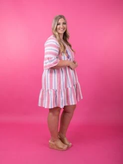 Easel V Neck Striped Babydoll Embroidered Dress | S - L