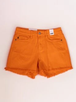 Judy Blue Starburst Mid Rise Fray Hem Shorts | S-3X